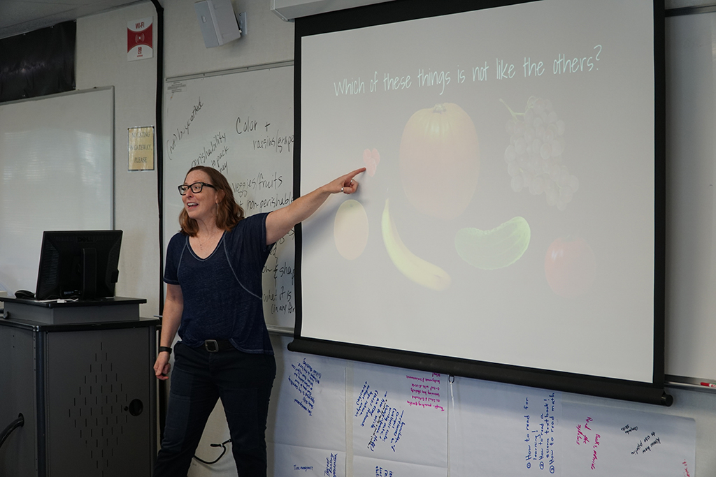 Ellen Carey, college Librarian, introduces a workshop activity on differences.